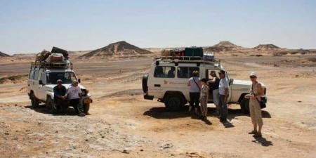 سيوة الساحرة: مغامرة في الصحراء بسيارات الدفع الرباعي - المصدر 24