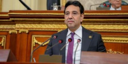النائب أيمن محسب: توجيهات الرئيس في ملف البترول تعكس الحرص على بناء قطاع طاقة متكامل ومستدام - المصدر 24