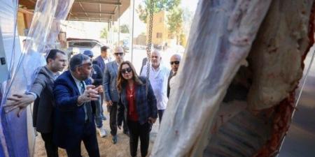 التنمية المحلية: إنشاء أول مجزر متنقل يهدف لتوفير خدمة الذبح المنظم بالمناطق النائية - المصدر 24