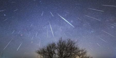 الإمارات على موعد مع أجمل الظواهر الفلكية في نوفمبر.. زخات الأسديّات تزيّن السماء - المصدر 24