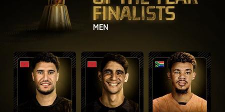 كاف يستبعد أحمد الشناوى من القائمة النهائية لأفضل حارس 2025 - المصدر 24