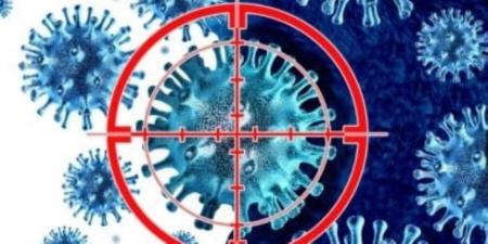 يماثل الأيبولا وليس له علاج.. تعرف علي فيروس ماربورغ وأعراضه - المصدر 24