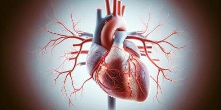 علماء روس يطورون تقنية علمية حديثة لزراعة الأوعية الدموية والأعضاء اصطناعيا - المصدر 24