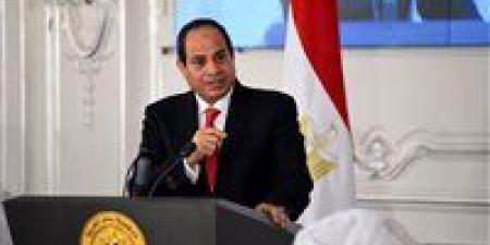 السيسي يطالب الوطنية للانتخابات بضمان شفافية الطعون حتى وإن وصل الأمر لإلغاء هذه المرحلة - المصدر 24