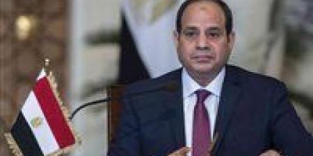 الرئيس السيسي: لا تهاون في ضمان نزاهة الانتخابات وحماية إرادة الشعب - المصدر 24