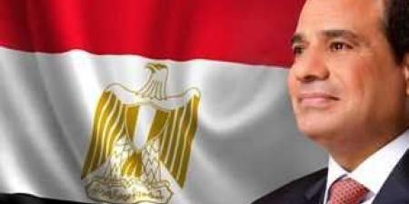 الرئيس السيسى يطالب الوطنية للانتخابات بالتدقيق فى الأحداث والطعون المقدمة - المصدر 24