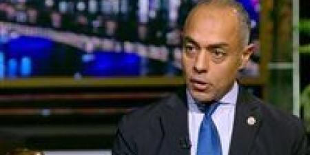 مدير الجهاز التنفيذي للهيئة الوطنية للانتخابات: هناك تقرير مبين به كافة الخروقات - المصدر 24