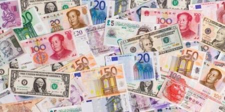 أسعار العملات العربية والأجنبية اليوم الثلاثاء 18 نوفمبر 2025 في البنوك - المصدر 24