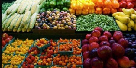 أسعار الخضروات والفاكهة في مصر اليوم.. الأربعاء 19 نوفمبر 2025 - المصدر 24