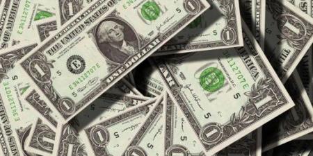 سعر الدولار في مصر بنهاية تعاملات اليوم.. الأربعاء 19 نوفمبر 2025 - المصدر 24