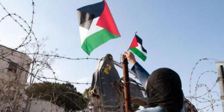 قرار مجلس الأمن(2803) : بينَ تثبيت الواقِع وتغييب الدّولة الفلسطينيّة #عاجل - المصدر 24