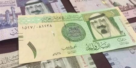 تعرف على سعر صرف الريال السعودى فى البنوك المصرية اليوم 19 نوفمبر 2025 - المصدر 24