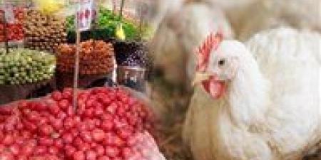 أسعار الدواجن والخضار والذهب.. تذبذبات يومية تختبر قدرة السوق على الاحتمال - المصدر 24