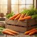 How Does Regularly Eating Carrots Affect Blood Sugar Levels? - المصدر 24