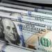 استقرار حذر.. سعر الدولار في مصر اليوم الجمعة 14 نوفمبر 2025 - المصدر 24