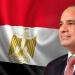 الرئيس السيسى يطالب الوطنية للانتخابات بالتدقيق فى الأحداث والطعون المقدمة - المصدر 24