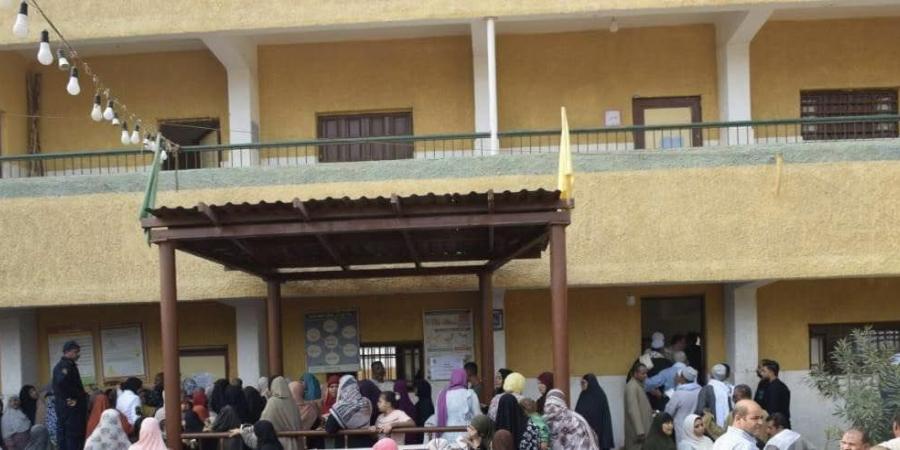 السيدات يتصدرن اللجان الانتخابية في بني سويف مع انطلاق التصويت - المصدر 24