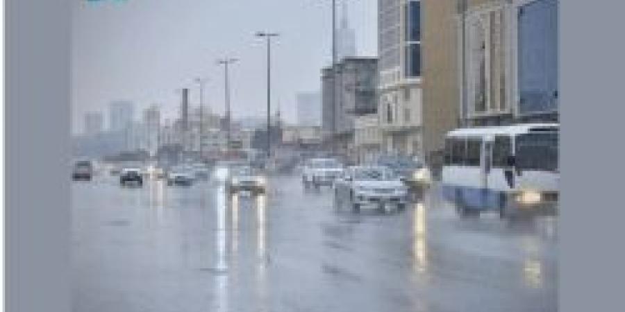 حالة الطقس.. أمطار خفيفة على 4 مناطق بالمملكة الأربعاء - المصدر 24
