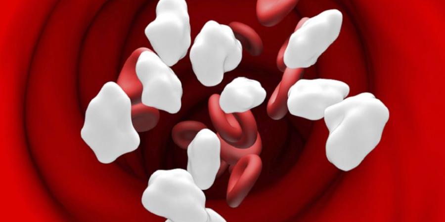 أطعمة يومية "تبدو بريئة" ترفع سكر الدم! - المصدر 24