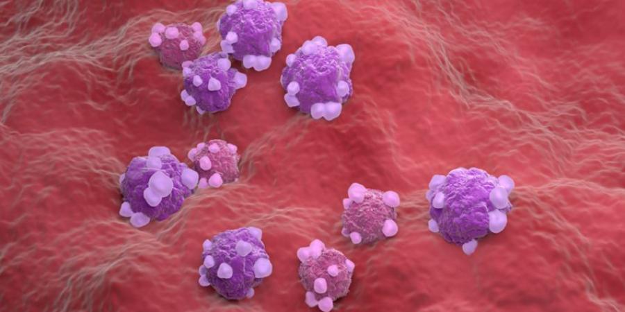 مزيج بكتيري طبيعي يدمر الأورام السرطانية دون آثار جانبية خطيرة - المصدر 24