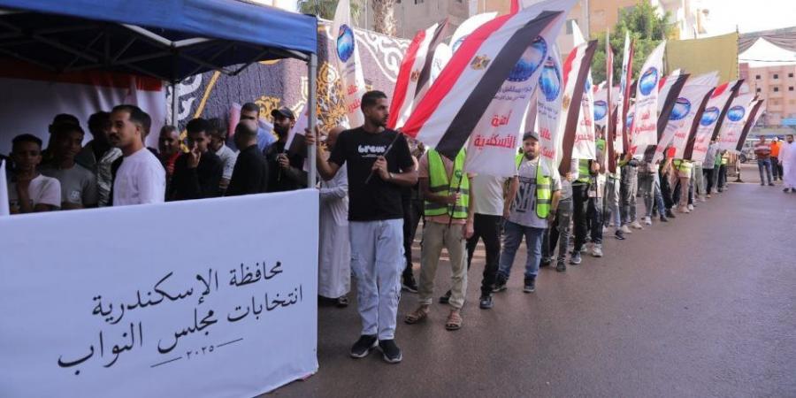 مستقبل وطن: فتح اللجان الانتخابية بمحافظة الإسكندرية في مواعيدها - المصدر 24