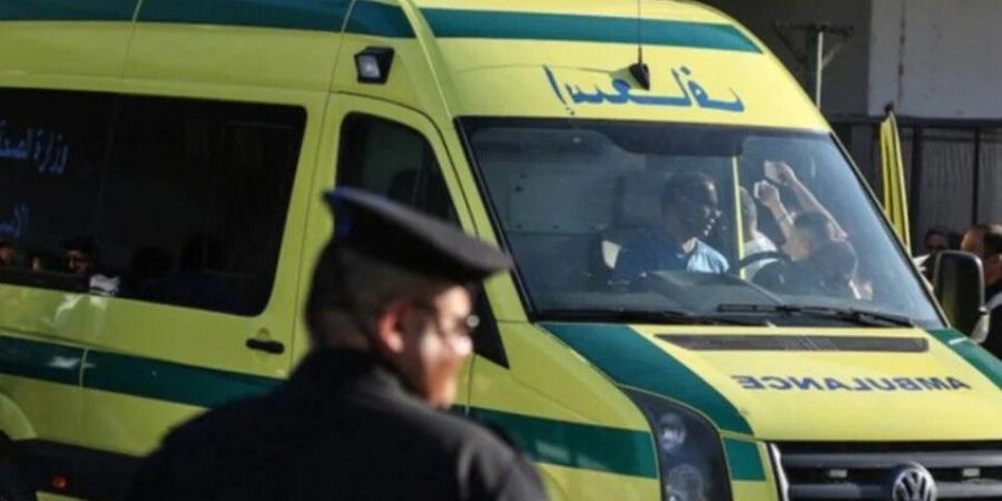 مصر.. معلمة مخمورة تقتل شخصين وتصيب 9 على كورنيش المعادي - المصدر 24