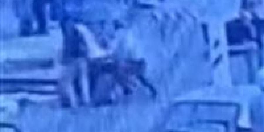 بطل حقيقي .. عامل مزلقان ينقذ مسنا من الموت المحقق أثناء عبوره شريط السكة الحديد بالشرقية - المصدر 24