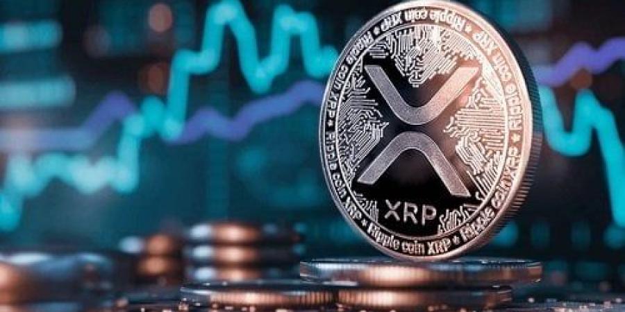 منصات التداول الحلال وسعر ريبل.. لماذا Bybit هي الخيار الأفضل للمستثمرين؟ - المصدر 24