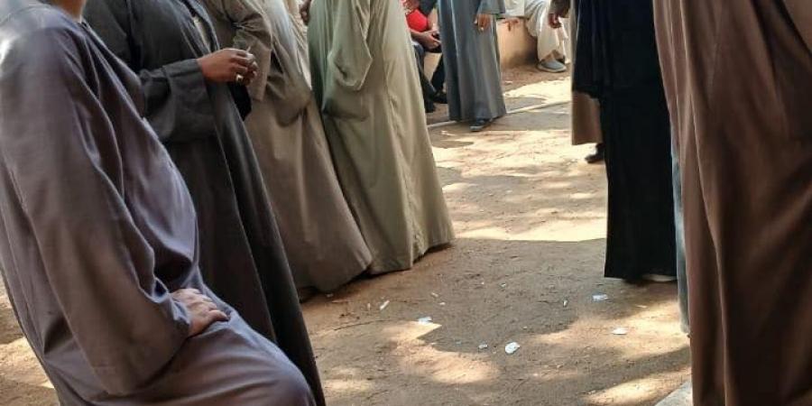 استمرار توافد الناخبين على اللجان في المنيا للتصويت في انتخابات مجلس النواب - المصدر 24