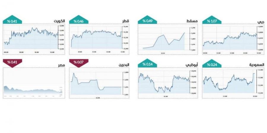 الأفضل عربياً.. «القيادية» ترفع سوق دبي بمكاسب 12 ملياراً - المصدر 24