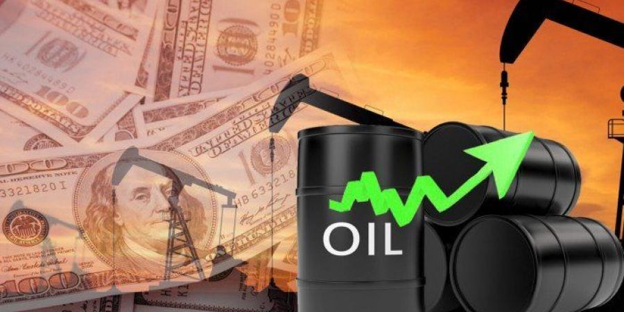 ارتفاع سعر برميل النفط الكويتي 38 سنتا ليبلغ 10ر66 دولار - المصدر 24