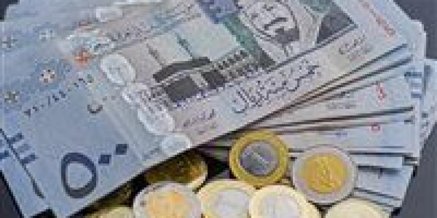 تراجع مفاجئ في سعر الريال السعودي أمام الجنيه اليوم الثلاثاء - المصدر 24