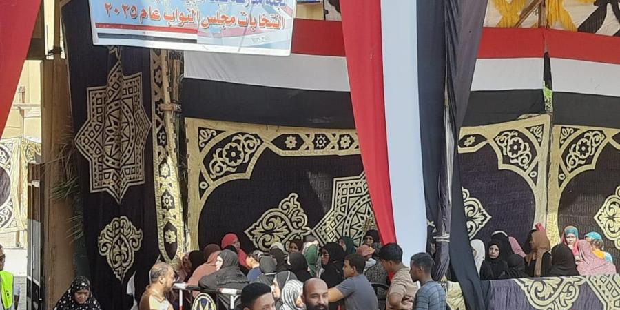 استمرار إقبال الناخبين على لجان الاقتراع في أسوان للتصويت في انتخابات مجلس النواب - المصدر 24
