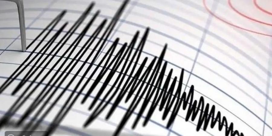 زلزالان يضربان غرب تركيا دون وقوع خسائر بشرية - المصدر 24