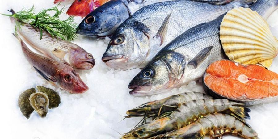 أسعار الأسماك والجمبري اليوم الثلاثاء 11 نوفمبر 2025 - المصدر 24