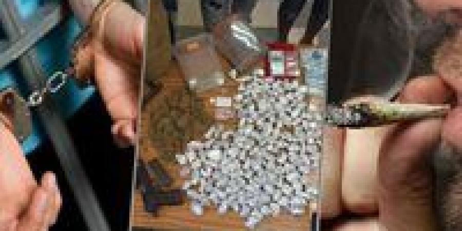 الداخلية تضبط 362 قضية مخدرات و184 قطعة سلاح خلال 24 ساعة - المصدر 24