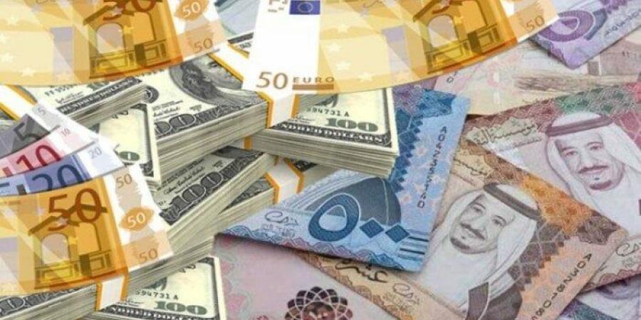 سعر العملات العربية الأجنبية اليوم.. الثلاثاء 11-11-2025 - المصدر 24