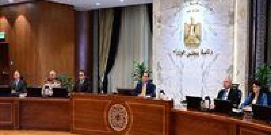 قرارات عاجلة من الحكومة اليوم في اجتماع مجلس الوزراء - المصدر 24