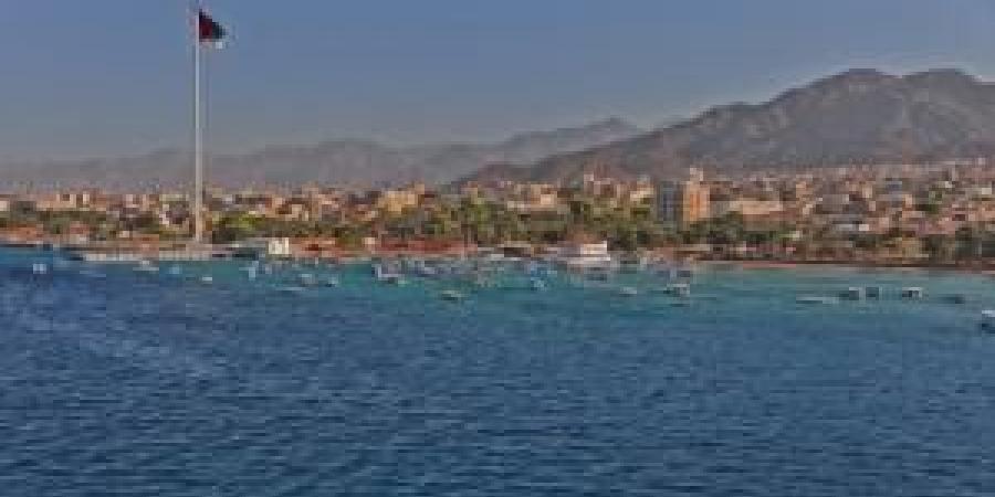 ما حقيقة وجود تسرب لغاز الأمونيا في العقبة؟ - المصدر 24