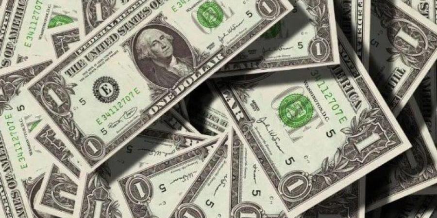 بكام النهاردة؟.. سعر الدولار في مصر اليوم الأربعاء 12-11-2025 - المصدر 24