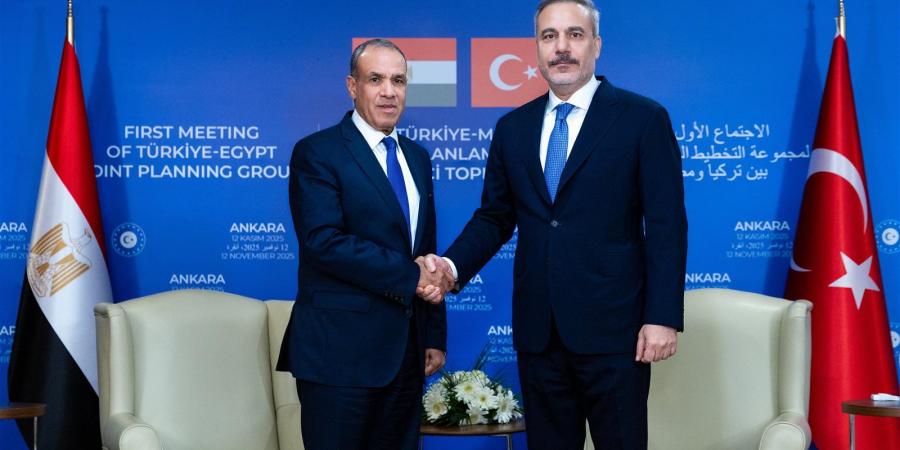 وزير الخارجية: القيادة السياسية المصرية حريصة على تعزيز التعاون المشترك مع تركيا في مختلف المجالات - المصدر 24