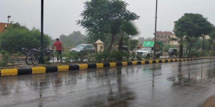 «الأرصاد الجوية بمصر» تحذر من رياح ترابية وأمطار.. ما التفاصيل؟ - المصدر 24