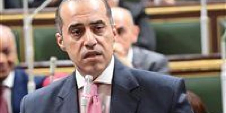 الوزير فوزي: انتظام تشكيل المجالس النيابية ثلاث دورات متتالية يعكس رسوخ الديمقراطية في مصر - المصدر 24