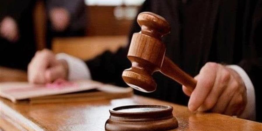 تأجيل محاكمة متهم بالانضمام لجماعة إرهابية في البدرشين لـ 17 ديسمبر - المصدر 24