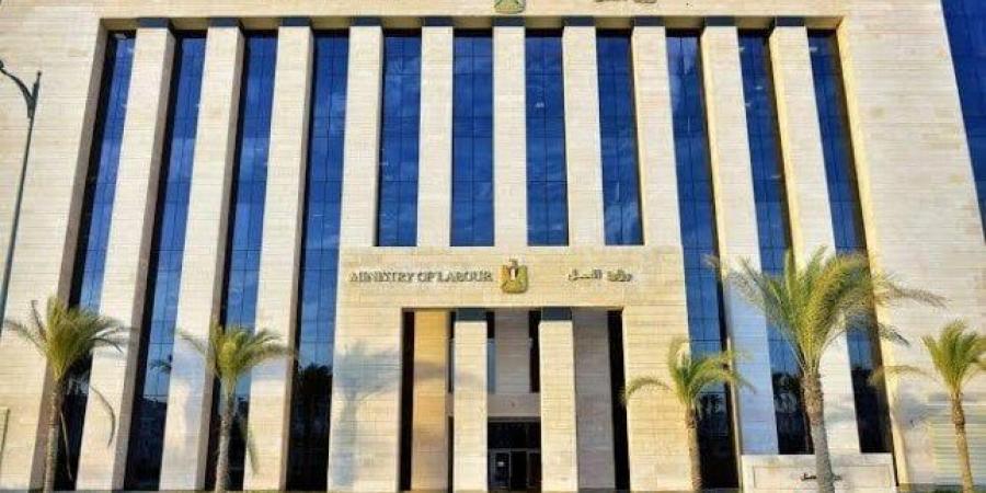 «العمل» تعلن عن وظائف شاغرة لذوي الهمم بسلسلة مطاعم عالمية - المصدر 24