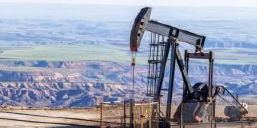 النفط يواصل خسائره - المصدر 24