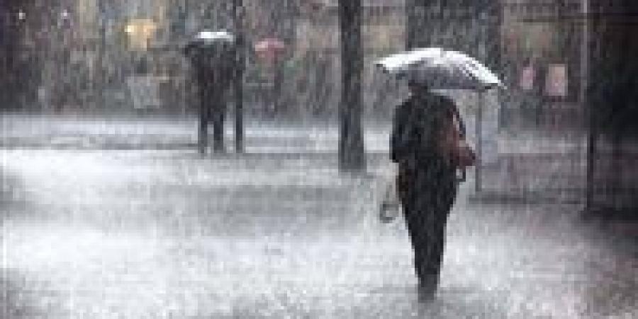 الأرصاد الجوية تحذر هذه المحافظات من طقس الساعات المقبلة.. سحب رعدية وأمطار غزيرة - المصدر 24