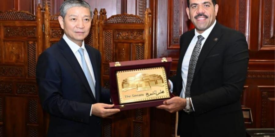 أمين عام مجلس الشيوخ يستقبل السفير الصيني لبحث تعزيز التعاون البرلماني بين مصر وبكين - المصدر 24