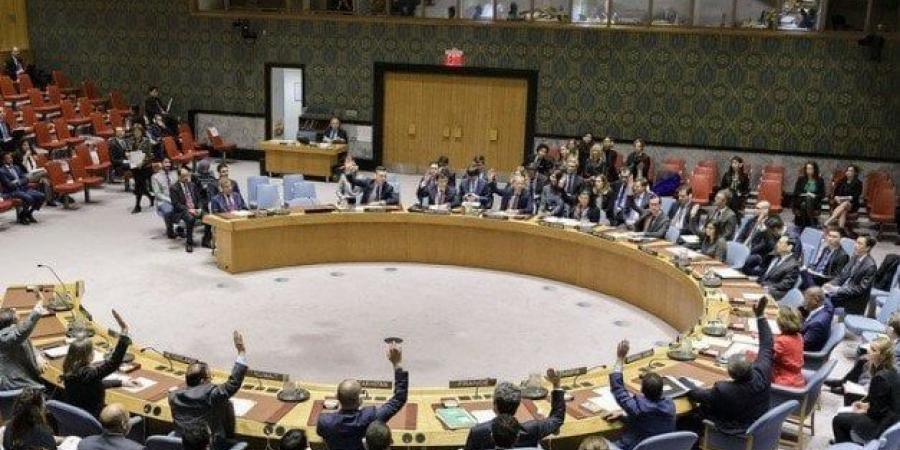 بيان أمريكي عربي إسلامي مشترك يدعم مشروع قرار بشأن غزة في مجلس الأمن (عاجل) - المصدر 24