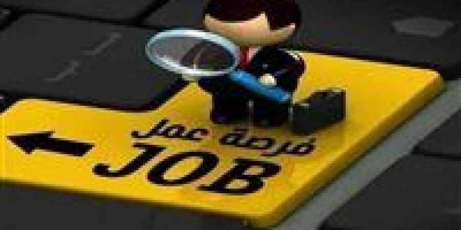 تفاصيل التقديم لشغل 580 وظيفة بمرتبات تصل إلى 10 آلاف جنيه - المصدر 24